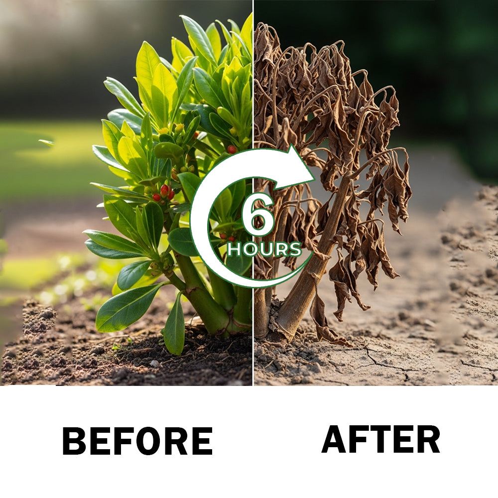 🏆Official Store | Limited Edition | Cvreoz® 2 in 1 Max Power Herbicide
